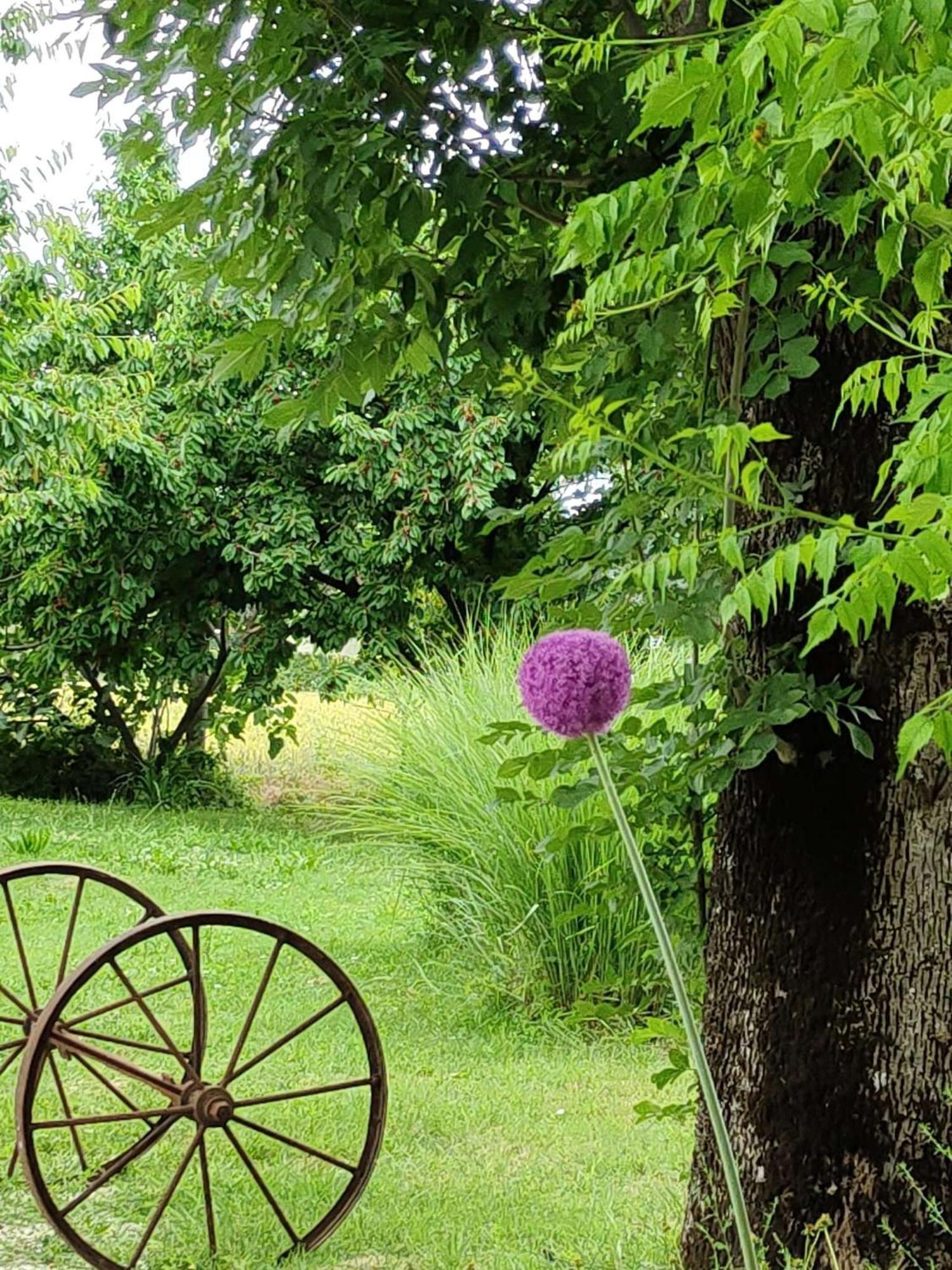 Ca Veja B&B Forlì Exteriör bild