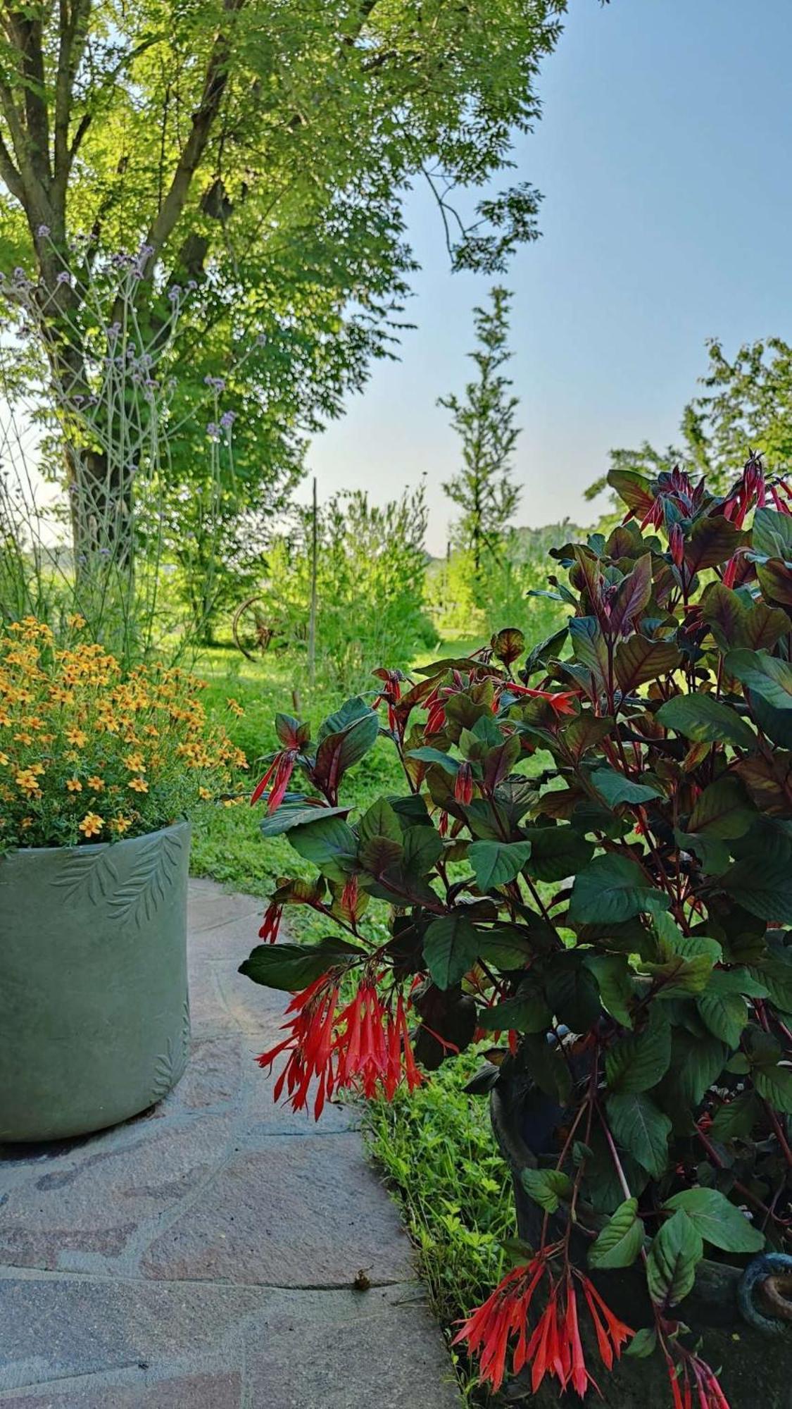 Ca Veja B&B Forlì Exteriör bild